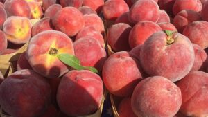 Easiest Way To Peel Peaches and 5 Delicious Peach Recipes