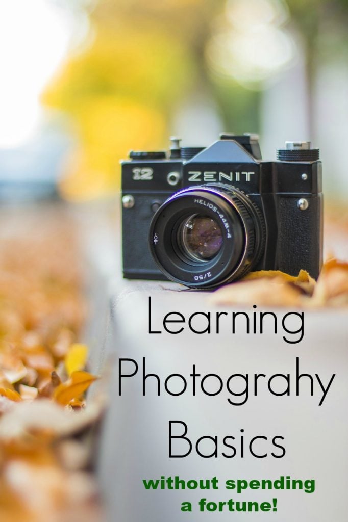 Learning Photography Basics Without Spending a Fortune