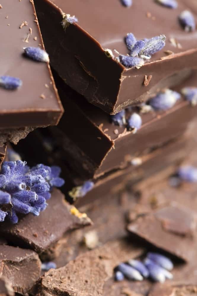 Homemade chocolate with lavender flowers