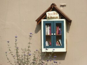 Little Free Library on wall filled with books