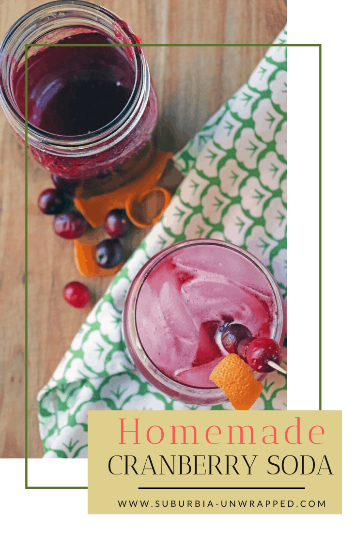 How to make homemade cranberry soda using fresh cranberries