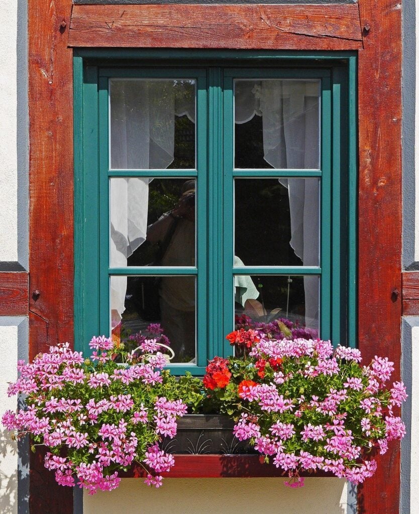 flowers in window boxes on house exterior