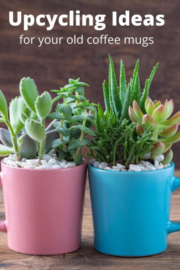 plants in old coffee mugs with small stones