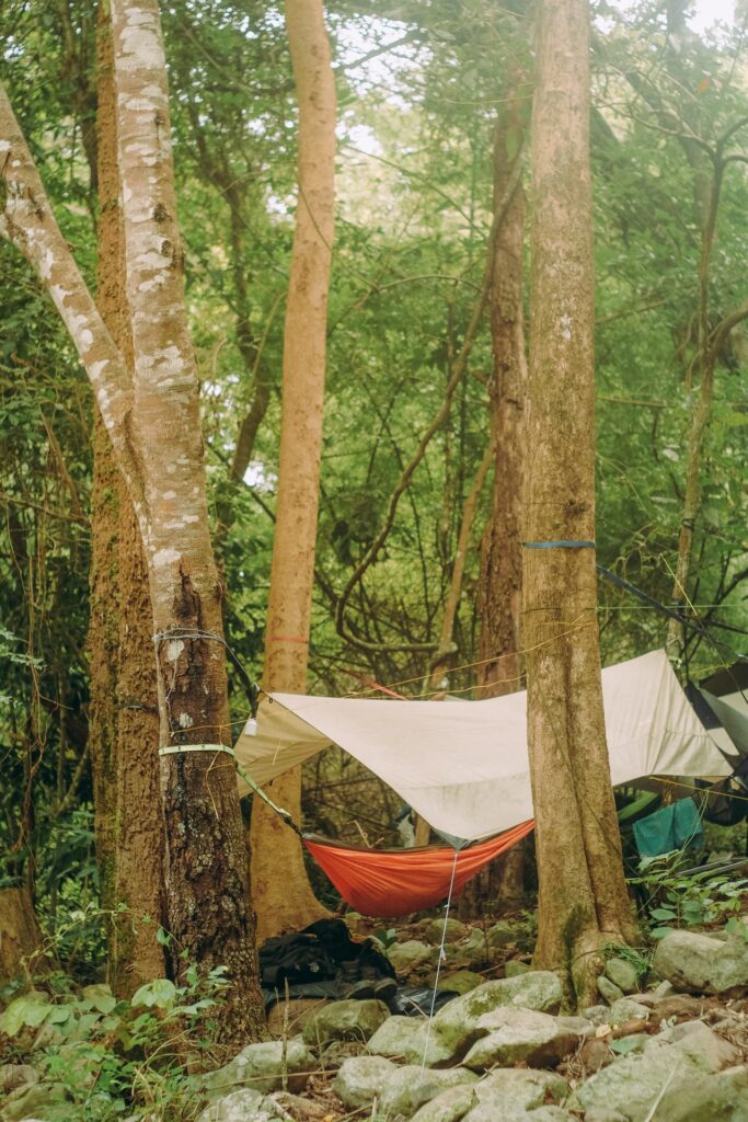 camping hammock hanging in tree