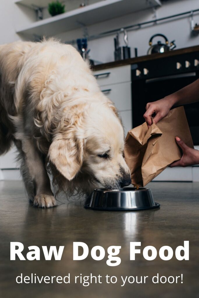 dog eating food from bowl with person pouring out raw dog food from a bag