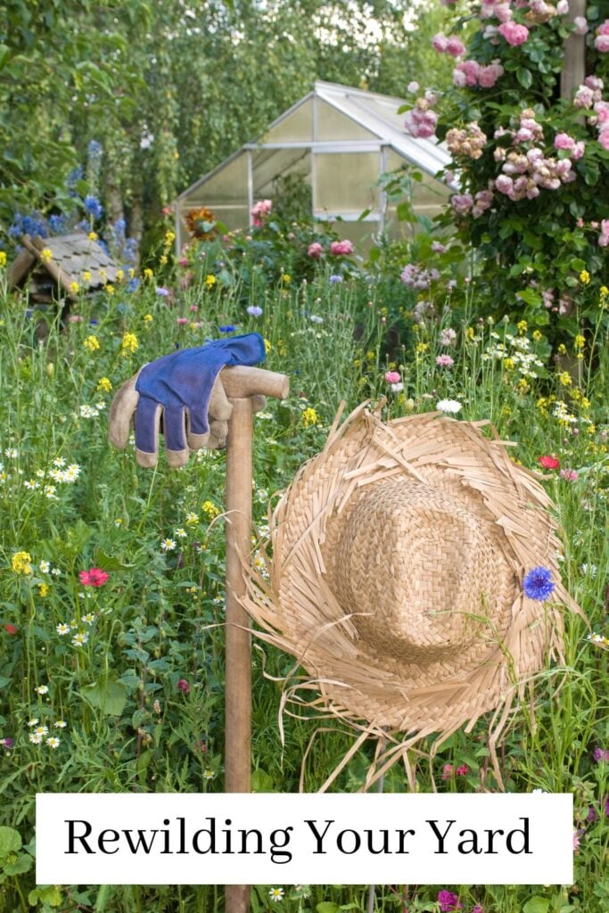 backyard meadow and greenhouse with text overlay 'Rewilding Your Yard'