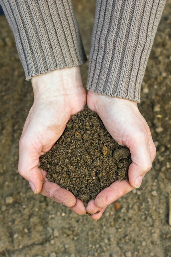 hands holding soil over the ground