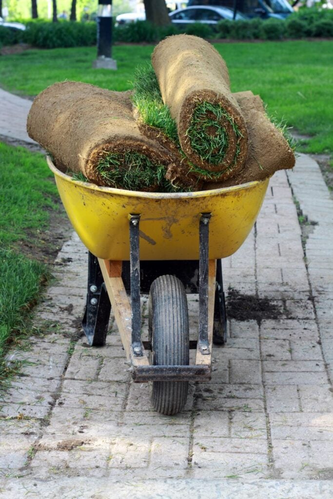 sod in a wheelbarrow