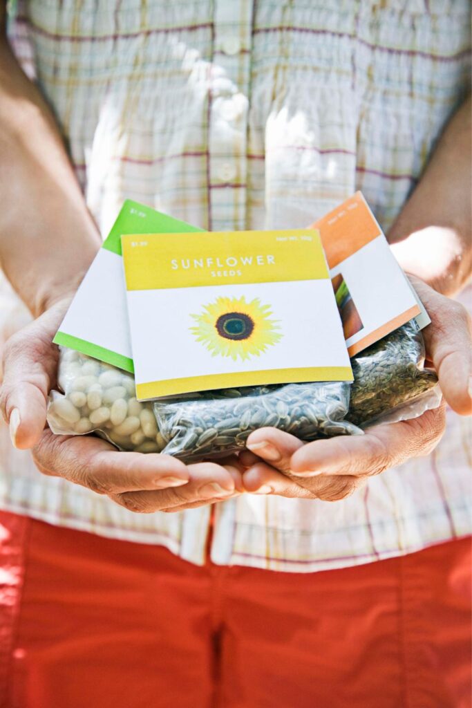 hands holding seed packages