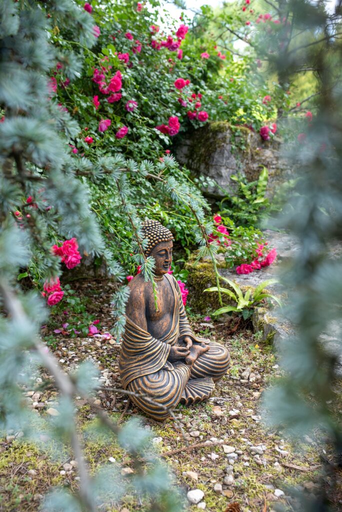 a buddha statue with climbing roses nearby in a zen meditation garden
